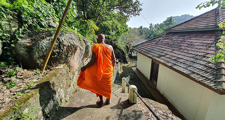Прогулка, медитация и беседа с монахом в храме в Унаватуне на Шри-Ланке
